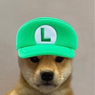 Telegram profile photo for Lucaroonies Calls