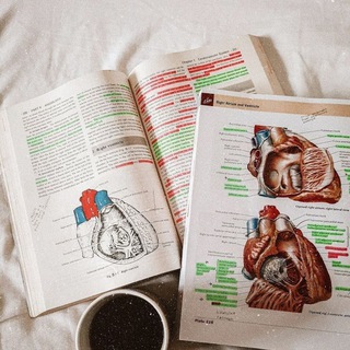 Telegram profile photo for Estudiantes de Medicina