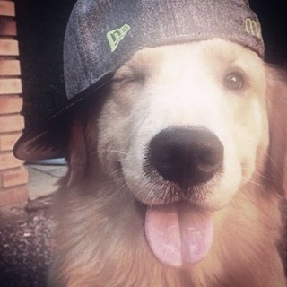 Telegram profile photo for романтизация эскапизма