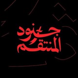 Telegram profile photo for قناة جنود المنتقم عليه السلام