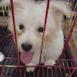 Telegram profile photo for Catalogue Sandra
