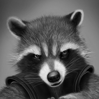 Telegram profile photo for Black_Enot_ Чорний гумор