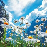 Telegram profile photo for Мы мирные люди, но….