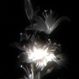 Telegram profile photo for yūgen (幽玄)