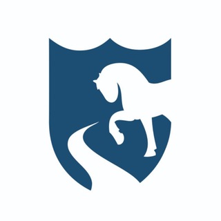 Telegram profile photo for Zaldibia INFO
