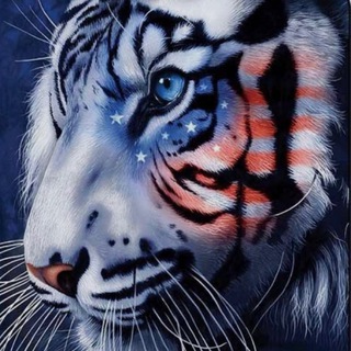 Telegram profile photo for MsTigress Channel