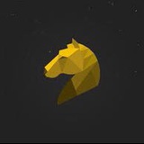 Telegram profile photo for SettingYourStrategy