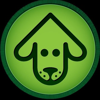 Telegram group profile photo for $UPDOG | The Dawg Park