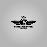 Telegram profile photo for Unreleased puneri songs