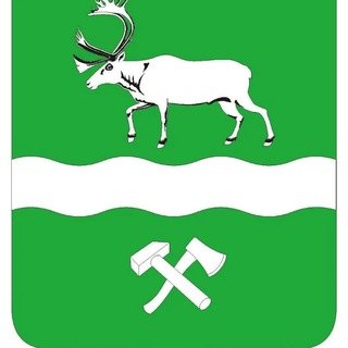 Telegram profile photo for Тындинский округ