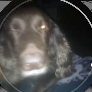 Telegram profile photo for щинсоукоку ее ура❤️❤️❤️