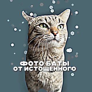 Telegram profile photo for 𝗙𝗯•𝗽𝗹𝗮𝘁𝗼𝗻𝗮