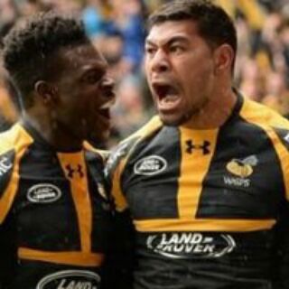Telegram profile photo for Rugby15tipster FREE