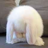 Telegram profile photo for Слив Софии Андреевной