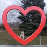 Telegram profile photo for ᴄᴏᴩʙиᴦᴏᴧᴏʙᴀ