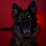 Telegram profile photo for psychopathy