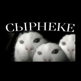Telegram profile photo for Чайрич