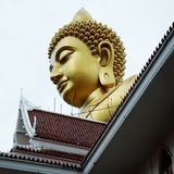 Telegram profile photo for 【泰国素材】|日常生活|素材||套图|