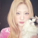 Telegram profile photo for little corner