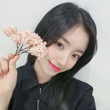 Telegram profile photo for kang yeseo