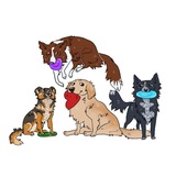 Telegram profile photo for Бульдозер и Сокрушительные Бордера