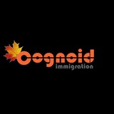 Telegram profile photo for Canada Work Permit ( LMIA )