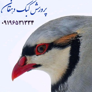 Telegram profile photo for پرورش کبک دهقان