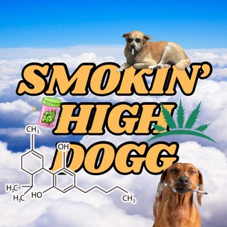 Telegram group profile photo for Smokin’ High Dogg $SHD