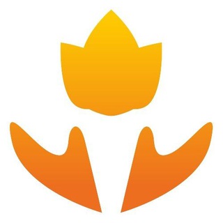 Telegram profile photo for Believe APS