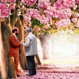 Telegram profile photo for دوباره چمران
