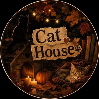 Telegram profile photo for Cat House 🐈⬛ | ୧୭