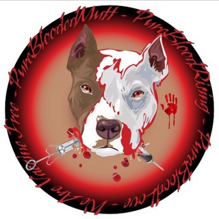 Telegram profile photo for 🩸PureBloods🩸ℂ𝕙𝕒𝕟𝕟𝕖𝕝 (Official)