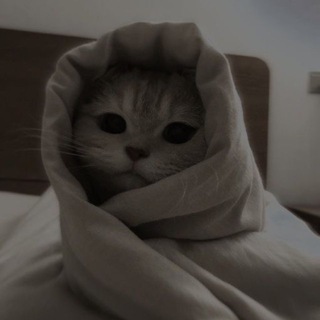 Telegram profile photo for я хочу