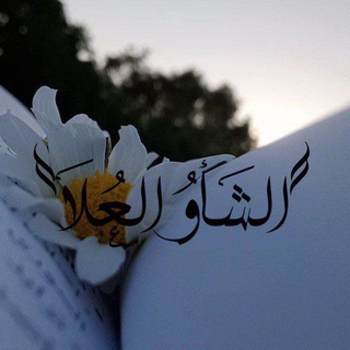 Telegram profile photo for الشَّأوُ العُلآ ☁