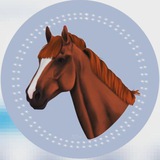 Telegram profile photo for Kht_grom._.stable