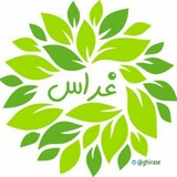 Telegram profile photo for 🍃 غـــراس الدعـويــة🍃