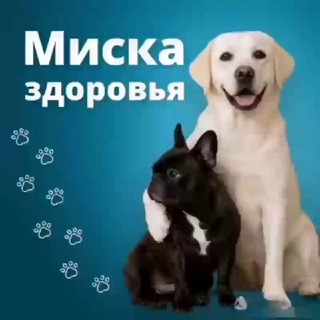 Telegram profile photo for Миска здоровья