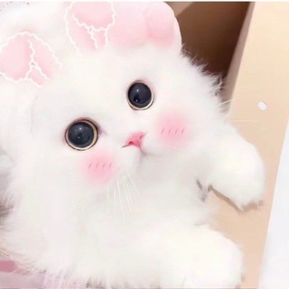 Telegram profile photo for 恶名的小窝