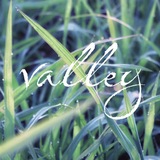 Telegram profile photo for valley