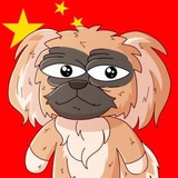Telegram profile photo for Peking CTO | ERC