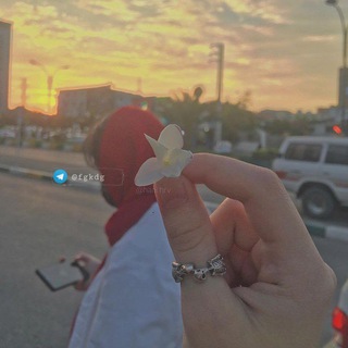 Telegram profile photo for ستوࢪيات