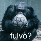 Telegram profile photo for DR FULVO 🐒⚽️