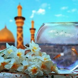 Telegram profile photo for رفاقت شهدایی...