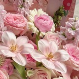 Telegram profile photo for ⁺ִ 𖧧 daily " pretty woman, " in a; Flower's Garden. ‹𝟹 🌸