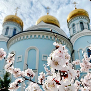 Telegram profile photo for Читинская епархия