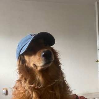 Telegram profile photo for all