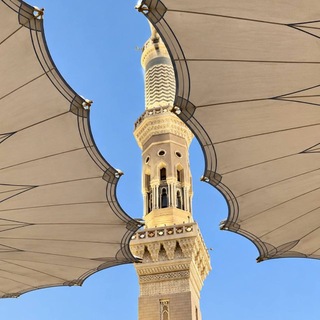 Telegram profile photo for قناة|طَابَة