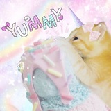 Telegram profile photo for miu unicorn cat рест