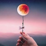 Telegram profile photo for اسم