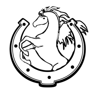 Telegram profile photo for Копыто Пегаса |@alex_elch